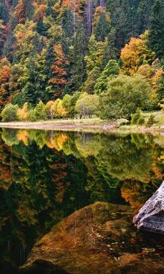 Autumn Lake View Live Wallpaper 2