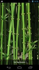 Bamboo 3D Live Wallpaper