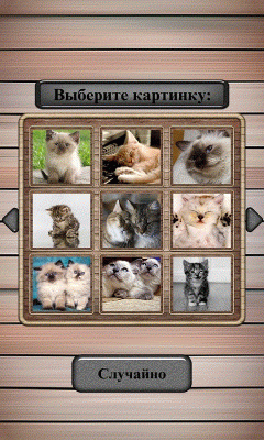 Beautiful Cat Puzzle FREE