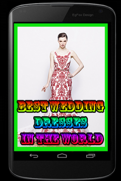 Best Wedding Dresses in the World