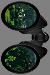 Binoculars Zoomer Tool