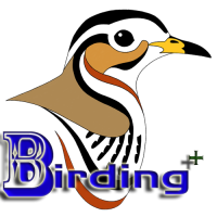 BirdingPlus