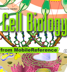 Cell Biology Quick Study Guide