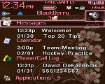 8800 Blackberry TODAY Theme: Cherry Blossoms