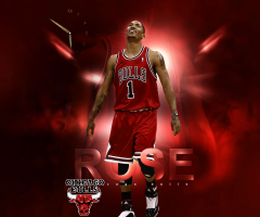 Chicago bulls D.rose