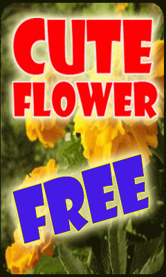 Cute Flower free