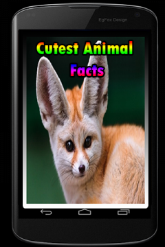 Cutest Animal Facts
