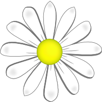Daisy petals