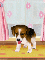Dog - Beagle
