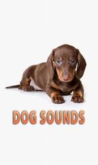 Dog sounds & Ringtones
