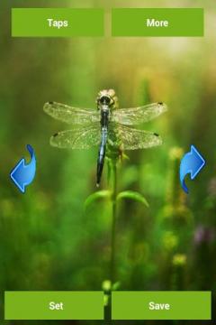 Dragonfly Wallpapers