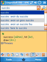 LingvoSoft English - French Dictionary 2008