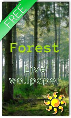 Forest LWP HD