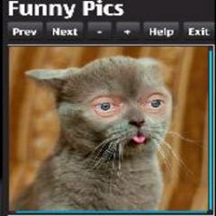 FunnyPictures FunnyPictures