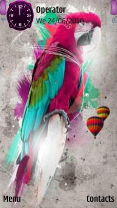 Hd Colourful Parrot
