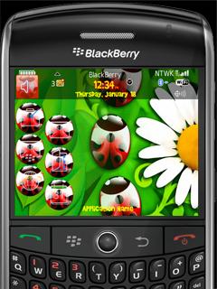 Animated Ladybird Theme for BlackBerry 9000