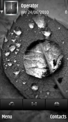 Leaf Drop