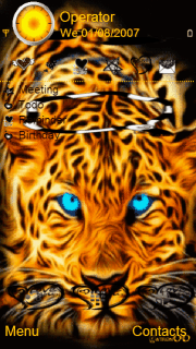 leopard_DSO30