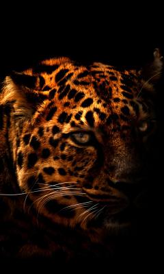 Leopard Silhouette Live Wallpaper