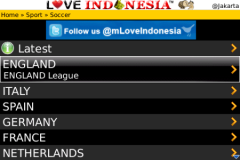 Love Indonesia