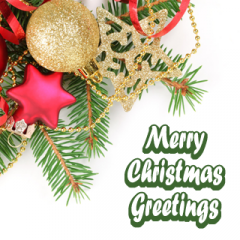 Merry Christmas Greetings S40