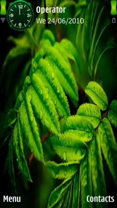 Natural Leaves