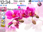 8100 Blackberry ZEN Theme: Orchid