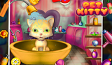 Pet Kitty Spa & Care