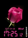 ** PiNk~RoSe **