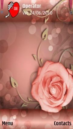 Pink Rose