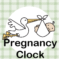 Pregnancy Clock