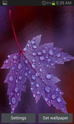 Purple Leaf Live Wallpaper