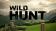 Wild hunt: Sport hunting game