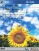 Sun Flower Dark Menu VGA Theme for Pocket PC