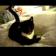 TealMovie: Simba & Tuxedo cat