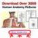 Human Anatomy and Physiology Course