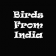 BirdsFromIndia