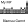 Blaenau Gwent - My MP