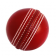 Cricket Scores and News
