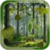 Forest LWP HD