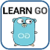 Learn Go Programming