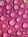 Pink Drops