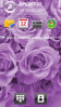 Purple Roses Theme