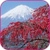 Sakura HD Video Live Wallpaper