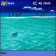 40 Sea Themes (240x240 Square Screen)