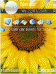 Sun Flower Theme S60 3rd + Screen Saver  Flash Lite