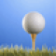 Golf Theme by Vimukti Technologies