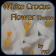 White Crocus Spring Theme