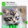 Big Kittens (Keys) for Symbian