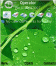 Water Green Leaf Theme + Flash Lite Screen Saver